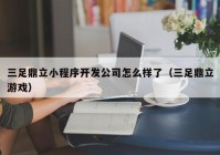 三足鼎立小程序开发公司怎么样了（三足鼎立游戏）