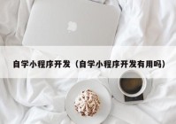 自学小程序开发（自学小程序开发有用吗）