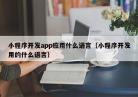 小程序开发app应用什么语言（小程序开发用的什么语言）