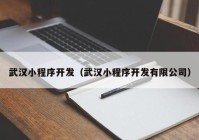 武汉小程序开发（武汉小程序开发有限公司）