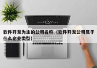 软件开发为主的公司名称（软件开发公司属于什么企业类型）