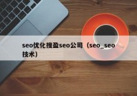 seo优化搜盈seo公司（seo_seo技术）