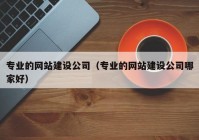 专业的网站建设公司（专业的网站建设公司哪家好）