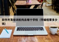 软件开发培训机构去哪个学校（学编程要多少钱）