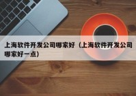 上海软件开发公司哪家好（上海软件开发公司哪家好一点）