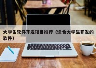 大学生软件开发项目推荐（适合大学生开发的软件）