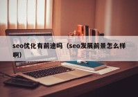 seo优化有前途吗（seo发展前景怎么样啊）