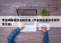 专业网站建设定制开发（专业网站建设定制开发方案）