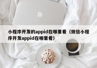 小程序开发的appid在哪里看（微信小程序开发appid在哪里看）