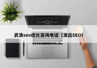 武清seo优化咨询电话（清远SEO）