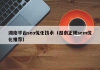 湖南平台seo优化技术（湖南正规sem优化推荐）