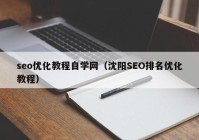 seo优化教程自学网（沈阳SEO排名优化教程）