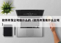 软件开发公司做什么的（软件开发有什么公司）